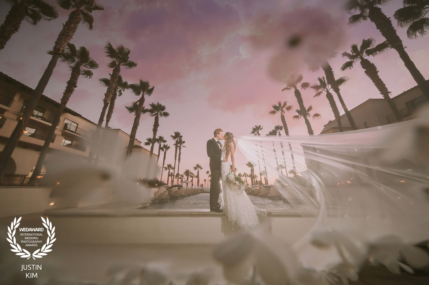 Collection 76 photo by Justin Kim
