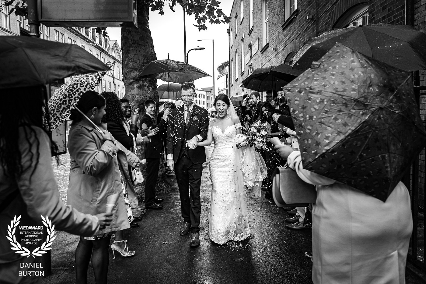 Collection 78 photo by Daniel Burton