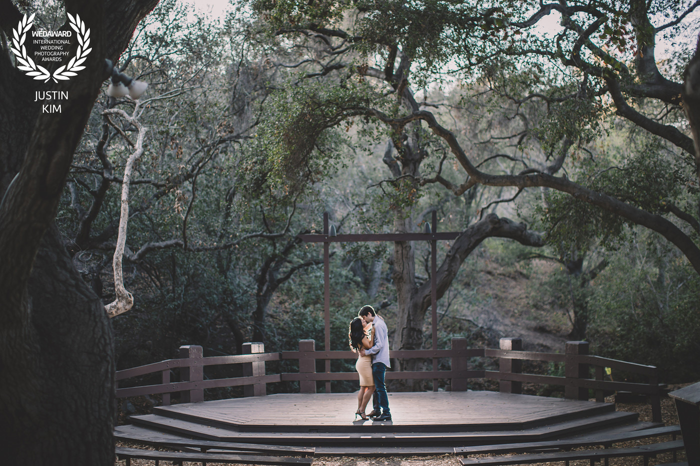 Collection 78 photo by Justin Kim
