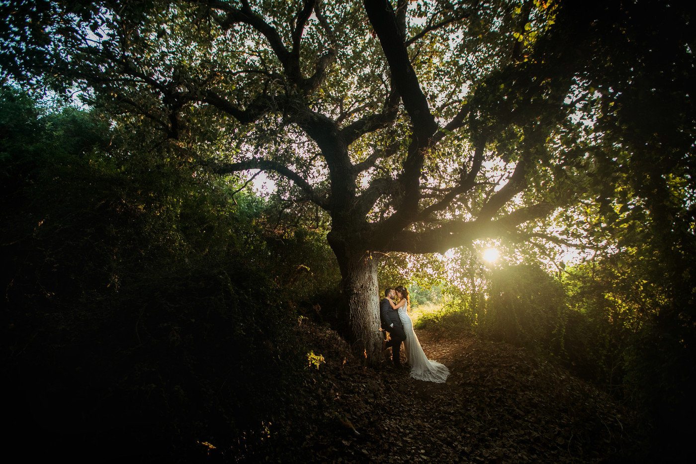 Collection 78 photo by Haris Neofytou