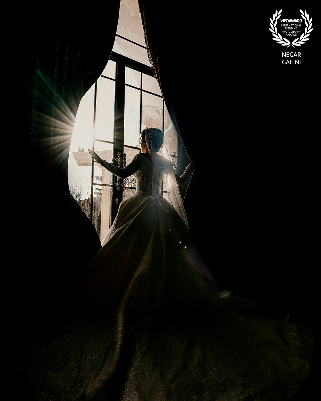 Collection 79 photo by Negar Gaeini