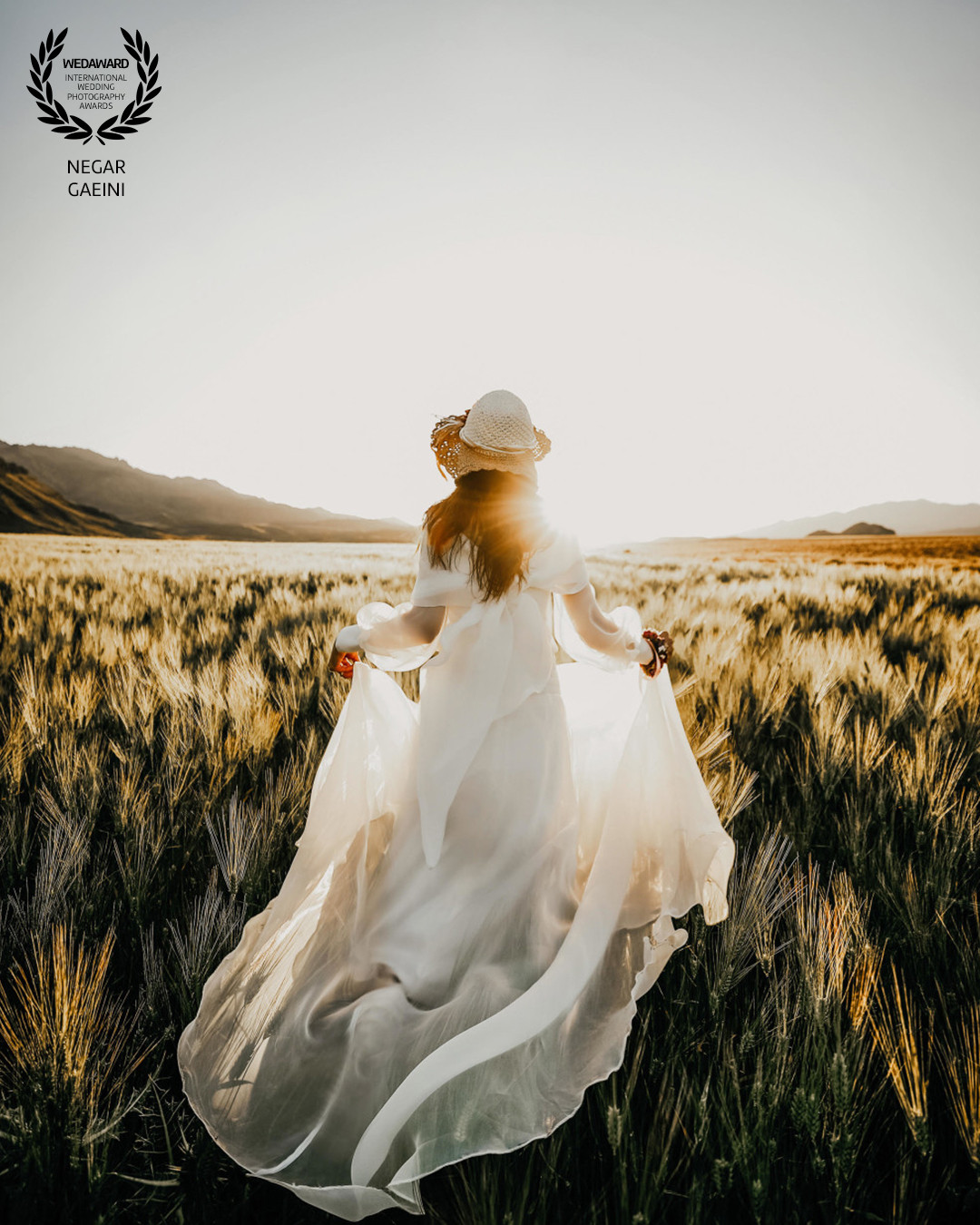 Collection 80 photo by Negar Gaeini