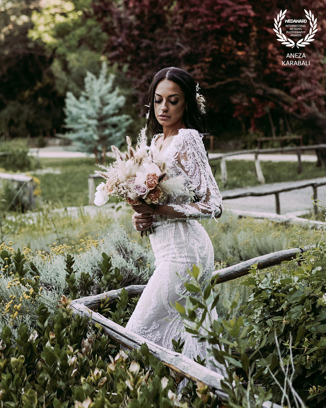 Collection 81 photo by Aneza Karabali