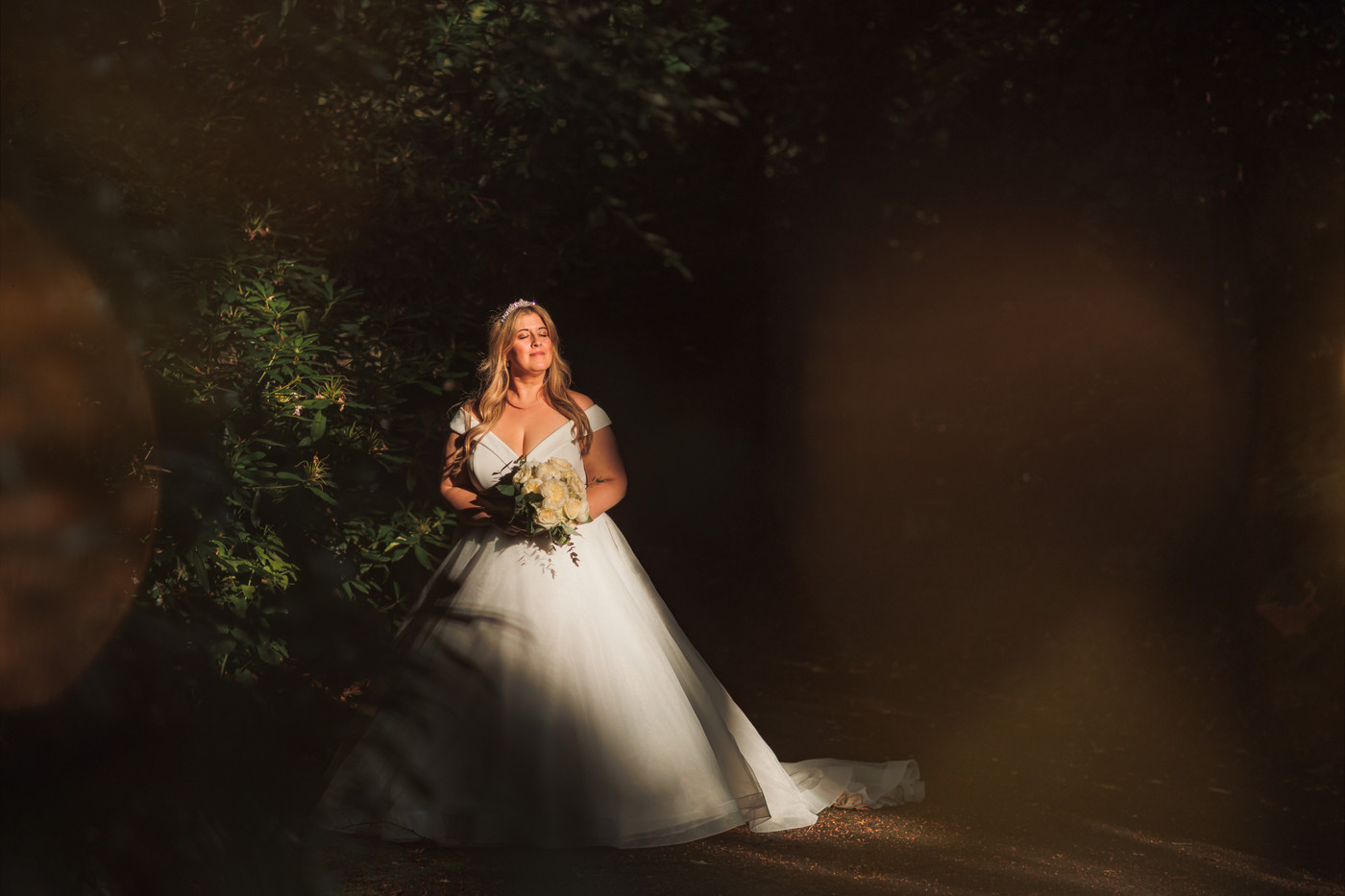 Collection 82 photo by Daniel Burton