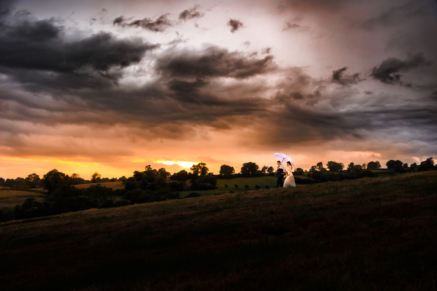 Collection 83 photo by Daniel Burton
