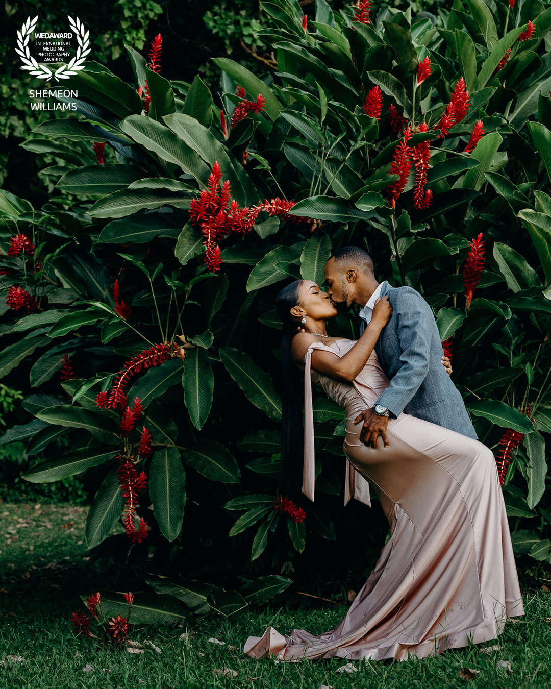 Collection 83 photo by Shemeon Williams
