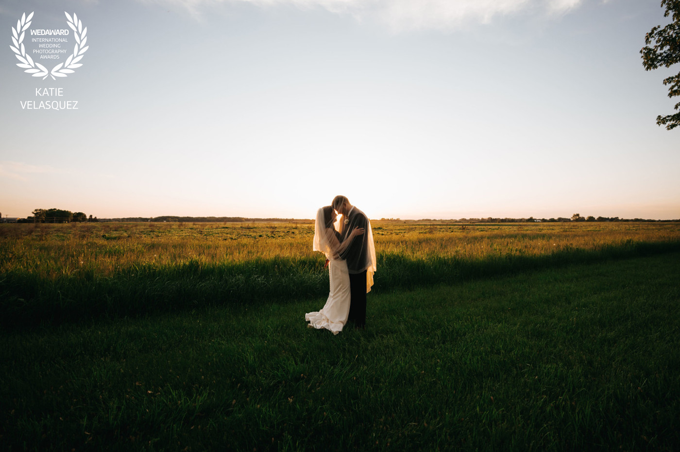 Collection 85 photo by Katie Velasquez