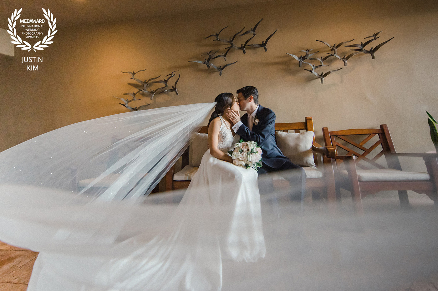 Collection 85 photo by Justin Kim