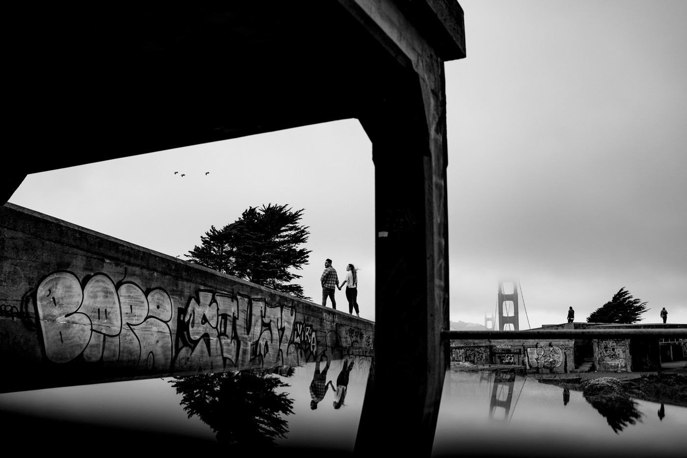 Collection 86 photo by Courtland Wilson