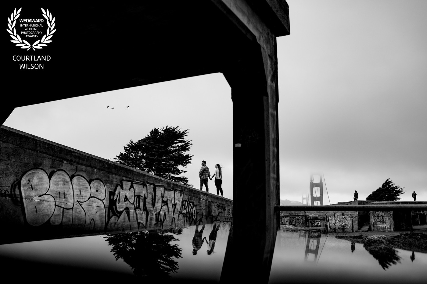 Collection 86 photo by Courtland Wilson