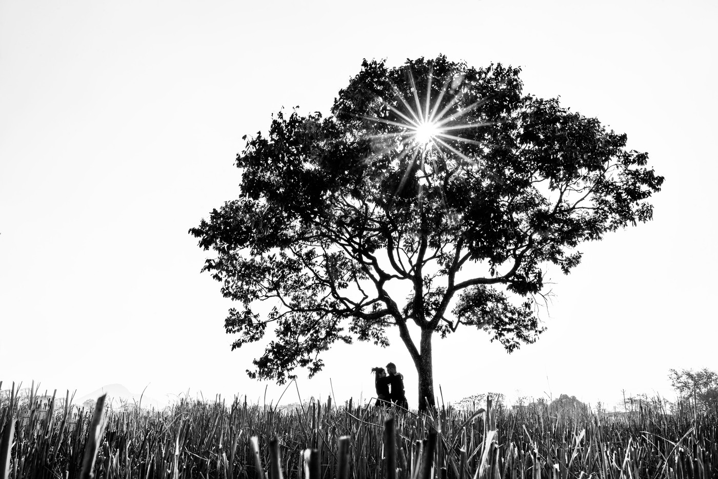 Collection 87 photo by Manish Agrawal
