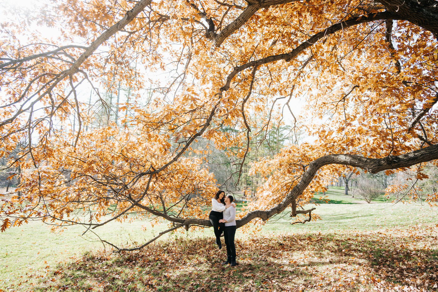 Collection 87 photo by Katie Velasquez