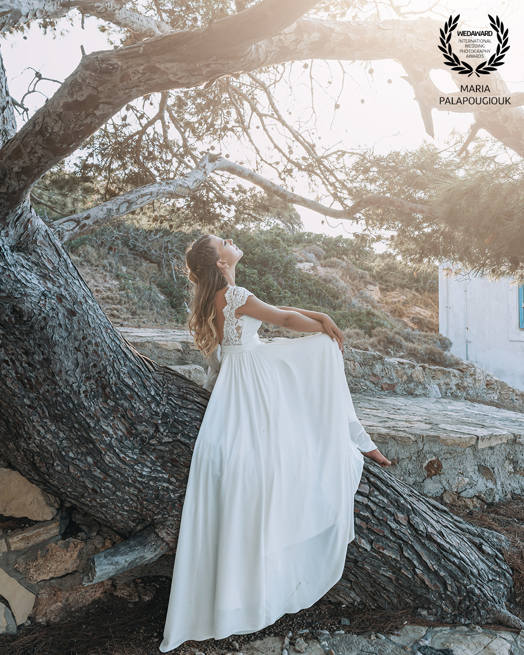 Collection 90 photo by Maria Palapougiouk