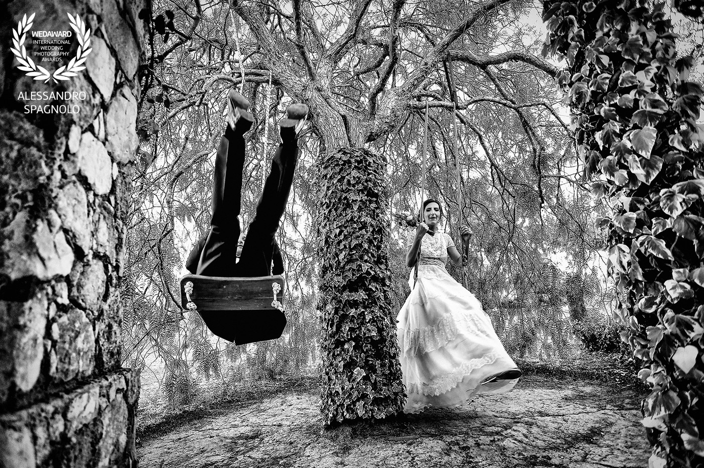 Collection 90 photo by Alessandro Spagnolo