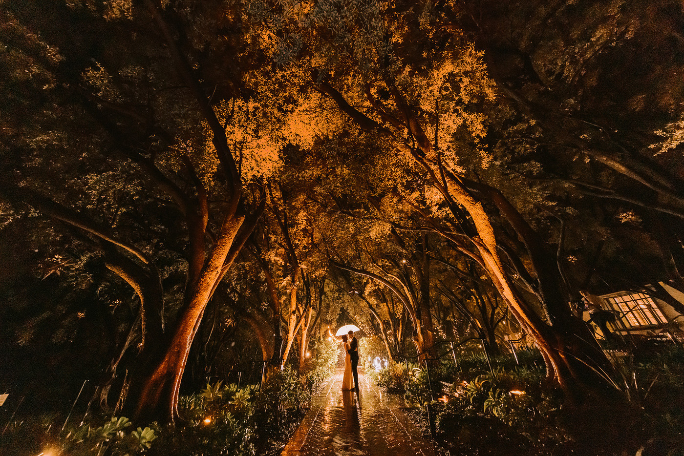 Collection 91 photo by Justin Kim