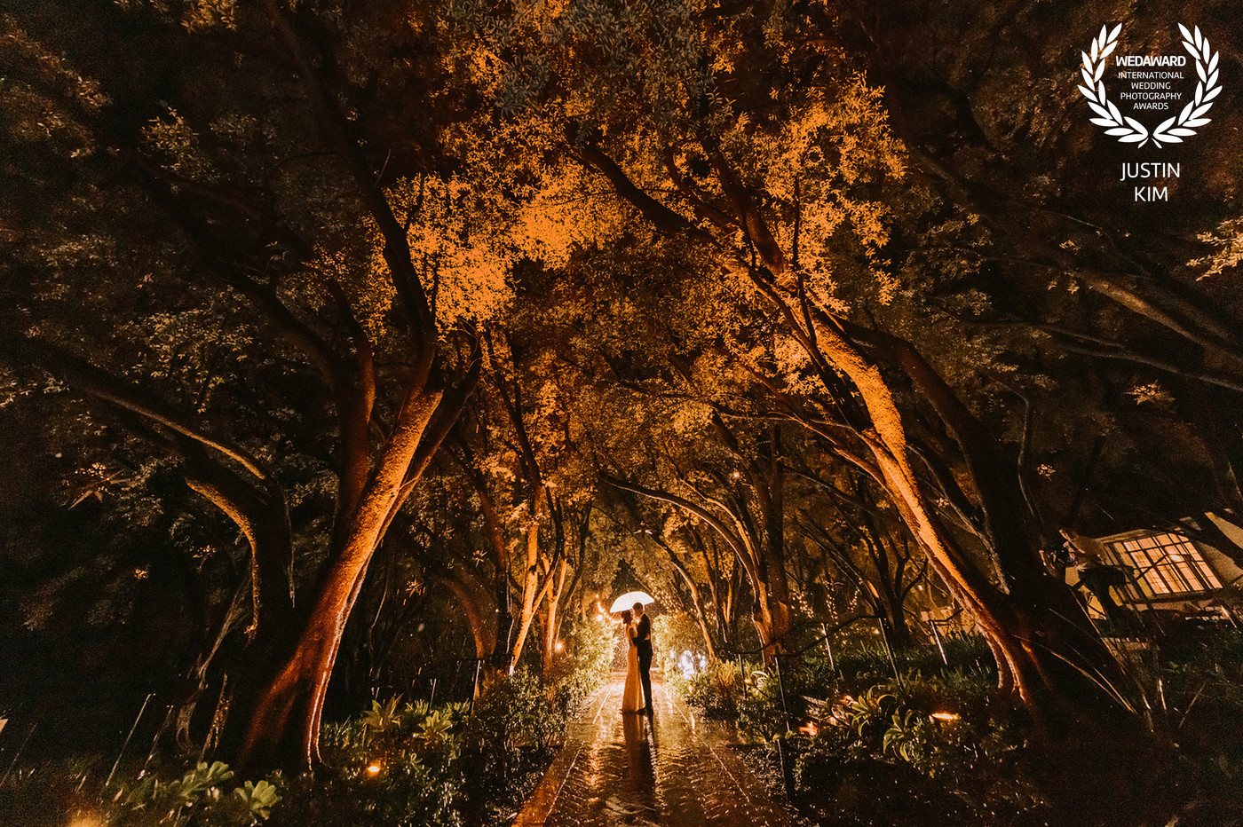 Collection 91 photo by Justin Kim