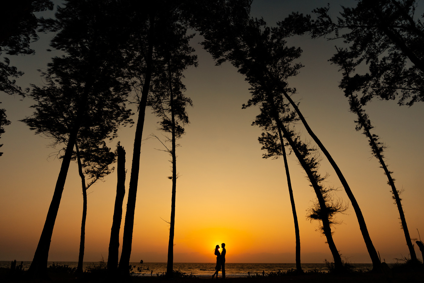 Collection 92 photo by Rahul Soman