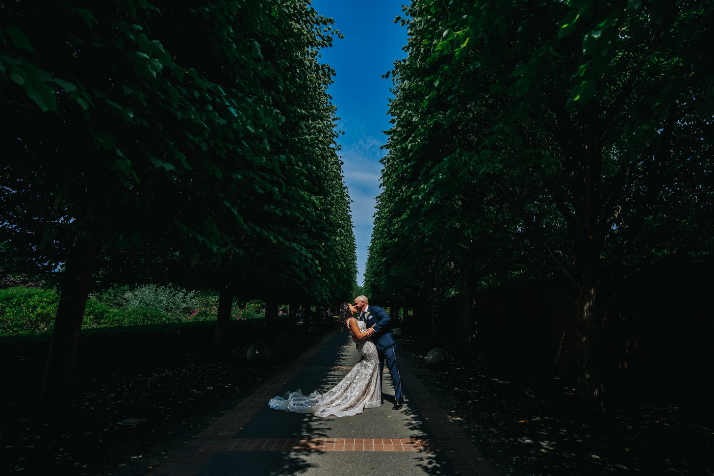 Collection 93 photo by Katie Velasquez