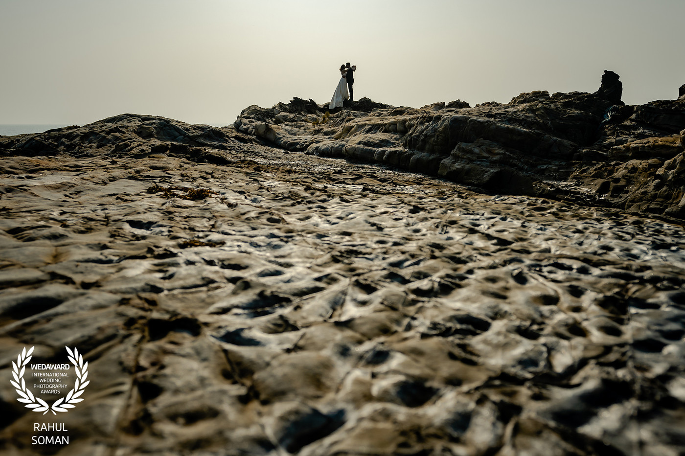 Collection 93 photo by Rahul Soman