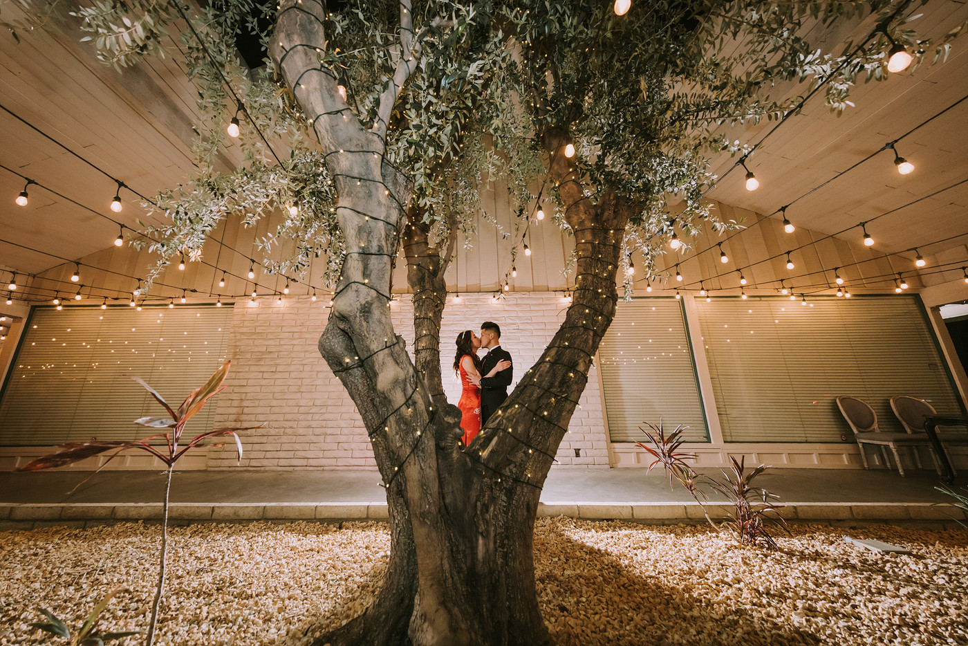 Collection 94 photo by Justin Kim