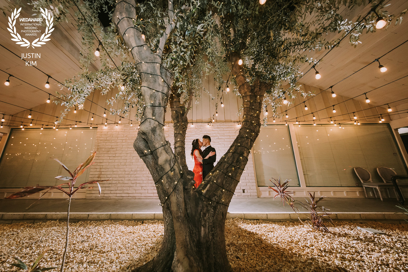 Collection 94 photo by Justin Kim