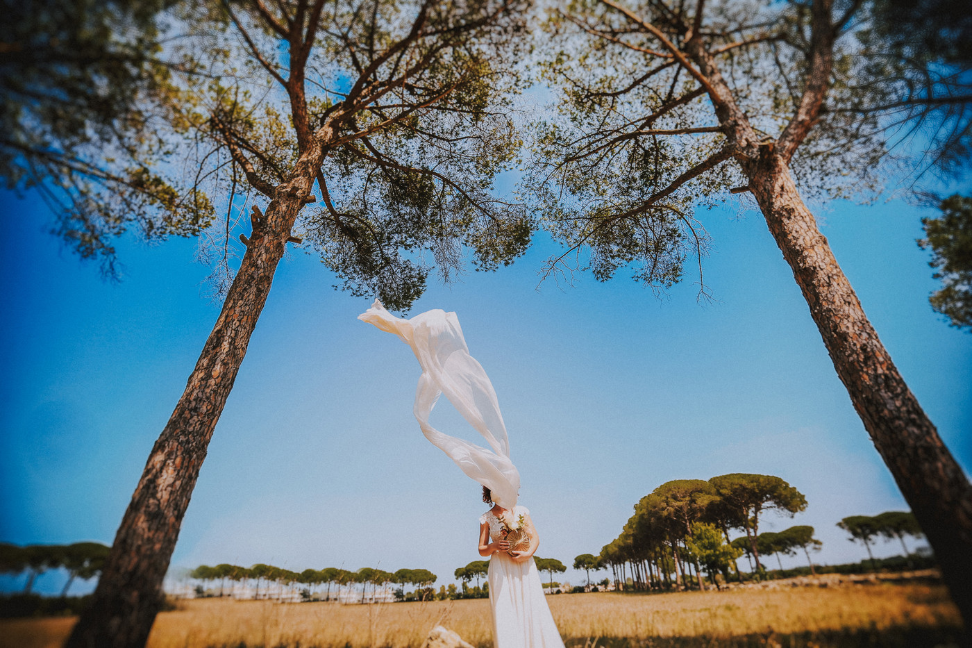 Collection 98 photo by Alessandro Spagnolo