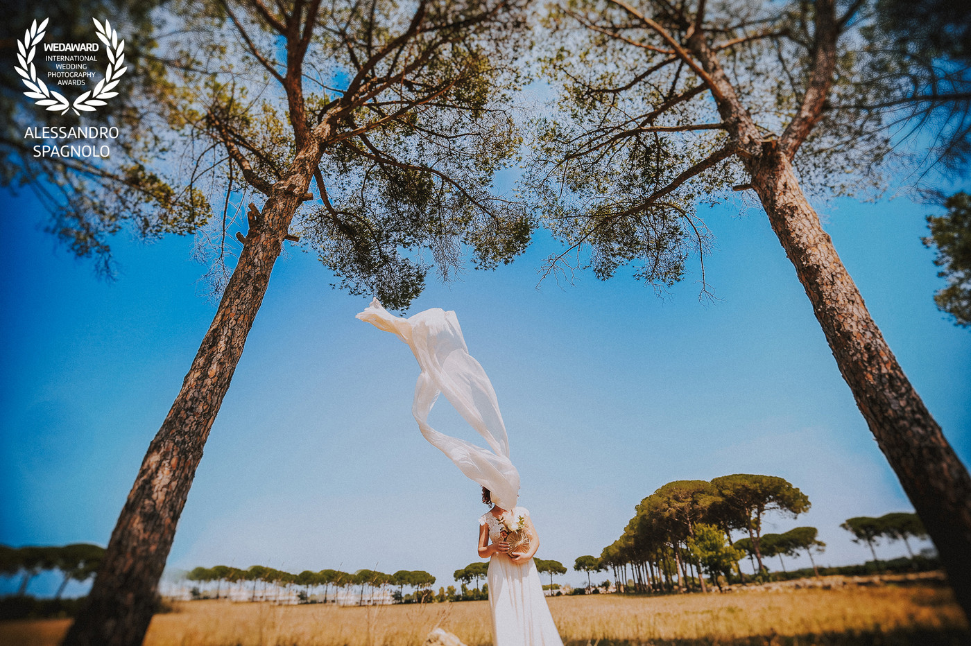 Collection 98 photo by Alessandro Spagnolo