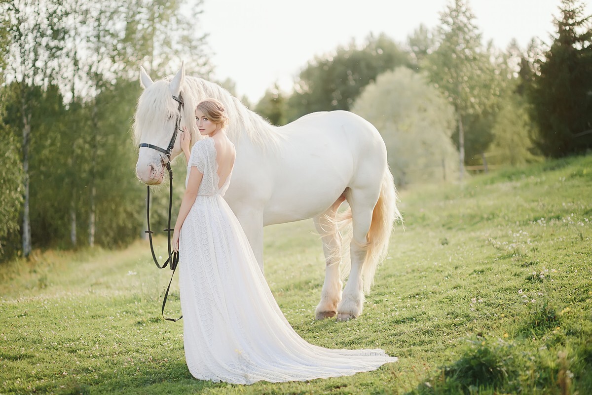 Жених и невеста на лошадях